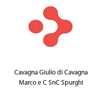 Cavagna Giulio di Cavagna Marco e C SnC Spurghi