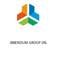 Logo BIBENDUM GROUP SRL