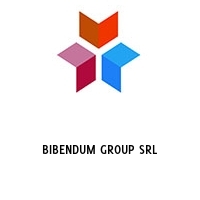 Logo BIBENDUM GROUP SRL