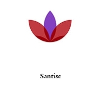 Logo Santise