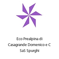 Logo Eco Prealpina di Casagrande Domenico e C SaS Spurghi