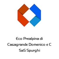 Logo Eco Prealpina di Casagrande Domenico e C SaS Spurghi