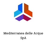 Logo Mediterranea delle Acque SpA