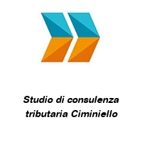 Logo Studio di consulenza tributaria Ciminiello