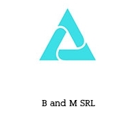 Logo B and M SRL