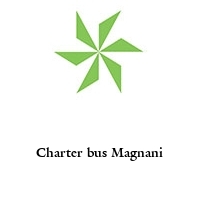 Charter bus Magnani