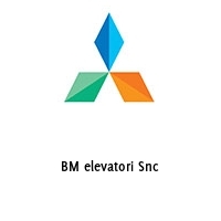 Logo BM elevatori Snc