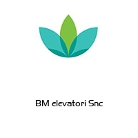 BM elevatori Snc