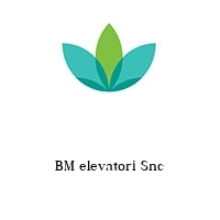 Logo BM elevatori Snc