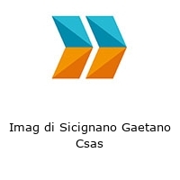 Logo Imag di Sicignano Gaetano Csas