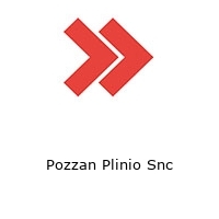 Logo Pozzan Plinio Snc