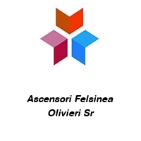 Logo Ascensori Felsinea Olivieri Sr