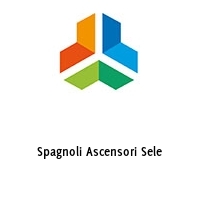 Logo Spagnoli Ascensori Sele