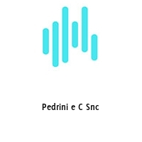 Logo Pedrini e C Snc