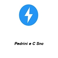 Logo Pedrini e C Snc