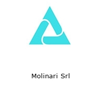 Logo Molinari Srl