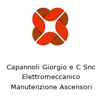 Logo Capannoli Giorgio e C Snc Elettromeccanico Manutenzione Ascensori