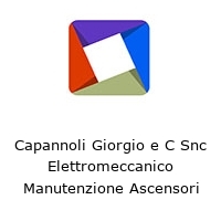 Logo Capannoli Giorgio e C Snc Elettromeccanico Manutenzione Ascensori