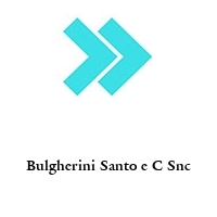 Logo Bulgherini Santo e C Snc