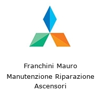 Logo Franchini Mauro Manutenzione Riparazione Ascensori