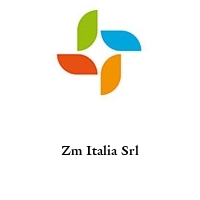 Logo Zm Italia Srl