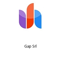 Logo Gap Srl