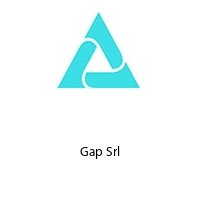 Logo Gap Srl