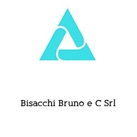 Logo Bisacchi Bruno e C Srl