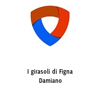 I girasoli di Figna Damiano