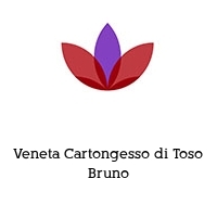 Veneta Cartongesso di Toso Bruno