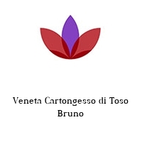 Logo Veneta Cartongesso di Toso Bruno