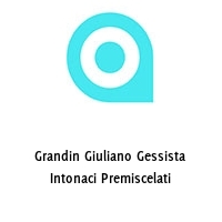 Logo Grandin Giuliano Gessista Intonaci Premiscelati
