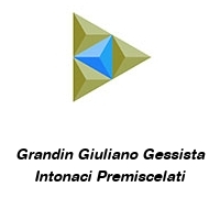 Grandin Giuliano Gessista Intonaci Premiscelati