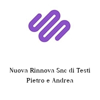 Logo Nuova Rinnova Snc di Testi Pietro e Andrea