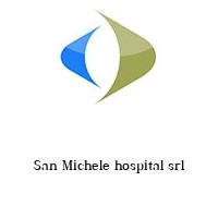 Logo San Michele hospital srl