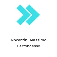 Logo Nocentini Massimo Cartongesso