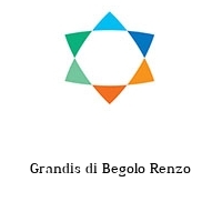 Logo Grandis di Begolo Renzo