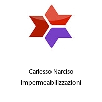 Logo Carlesso Narciso Impermeabilizzazioni
