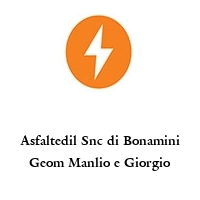 Logo Asfaltedil Snc di Bonamini Geom Manlio e Giorgio