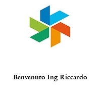 Logo Benvenuto Ing Riccardo