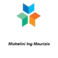 Logo Michelini Ing Maurizio