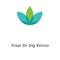 Logo Frosi Dr Ing Enrico
