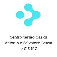 Logo Centro Termo Gas di Antonio e Salvatore Pascai  e C S N C