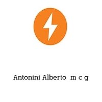 Logo Antonini Alberto  m c g