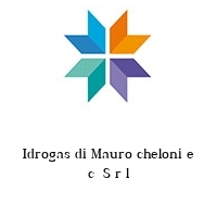 Logo Idrogas di Mauro cheloni e c  S r l