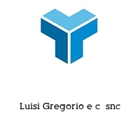 Logo Luisi Gregorio e c  snc