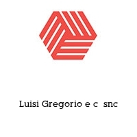 Logo Luisi Gregorio e c  snc