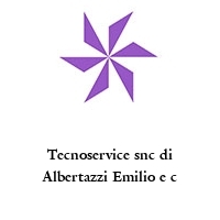 Tecnoservice snc di Albertazzi Emilio e c