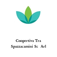 Logo Coopertiva Tra Spazzacamini Sc  Arl