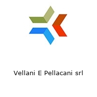 Logo Vellani E Pellacani srl